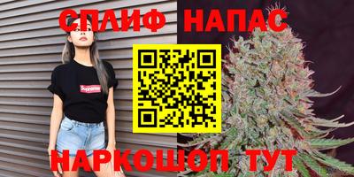 стафф Краснодар