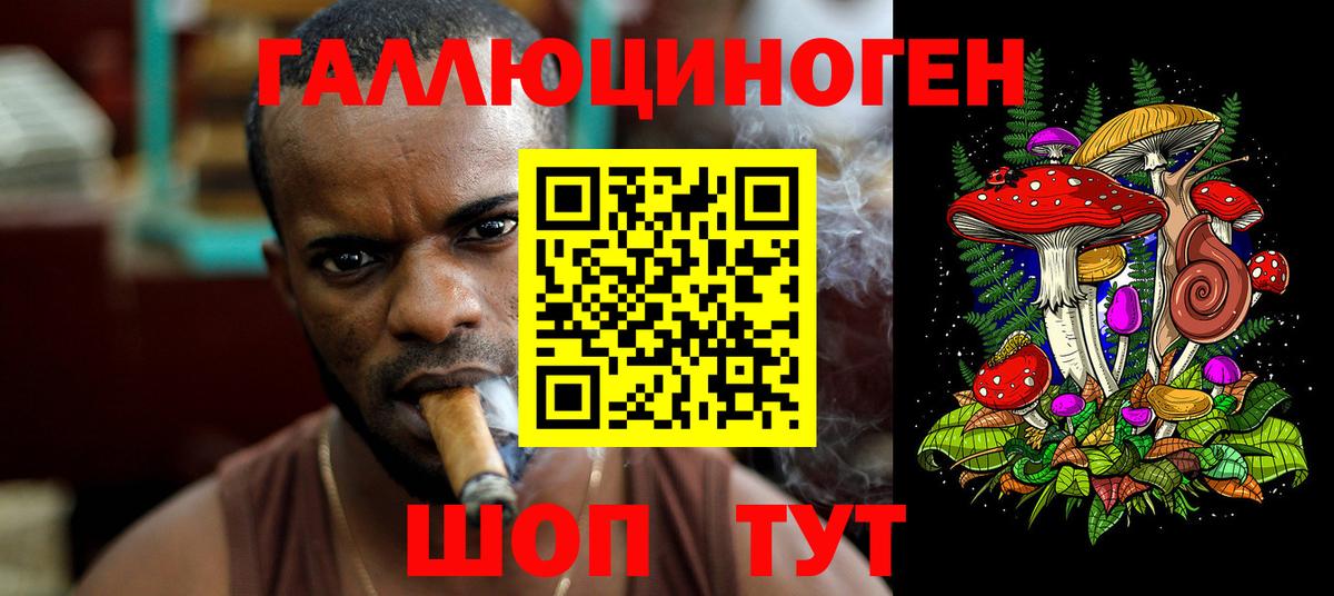 Псилоцибиновые грибы GOLDEN TEACHER Коломна