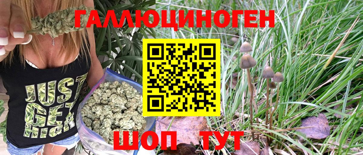 Псилоцибиновые грибы MAGIC MUSHROOMS  Псилоцибиновые грибы прущие грибы  Вход с VPN  Коломна 